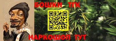 тгк Пенза