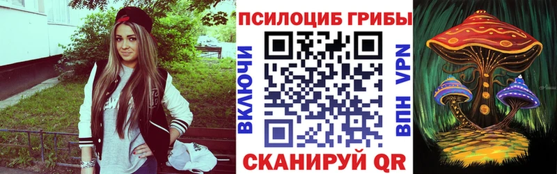 где продают наркотики  Волоколамск  Псилоцибиновые грибы ЛСД 