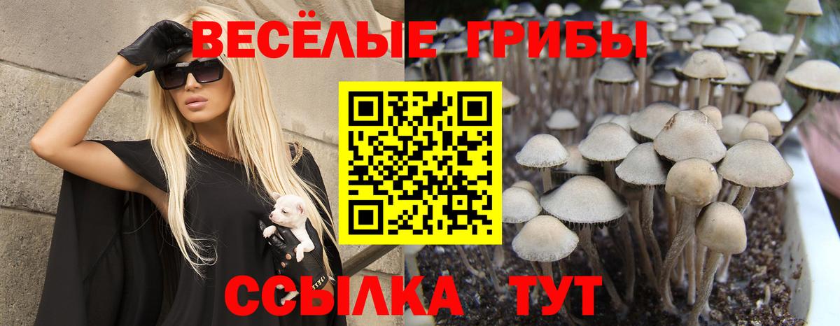 Галлюциногенные грибы MAGIC MUSHROOMS Волоколамск